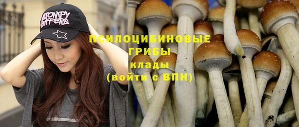 бошки Абинск