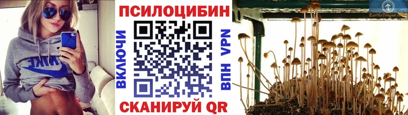 Псилоцибиновые грибы прущие грибы  Донецк 