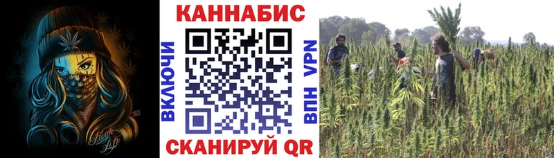 Шишки марихуана Ganja Донецк